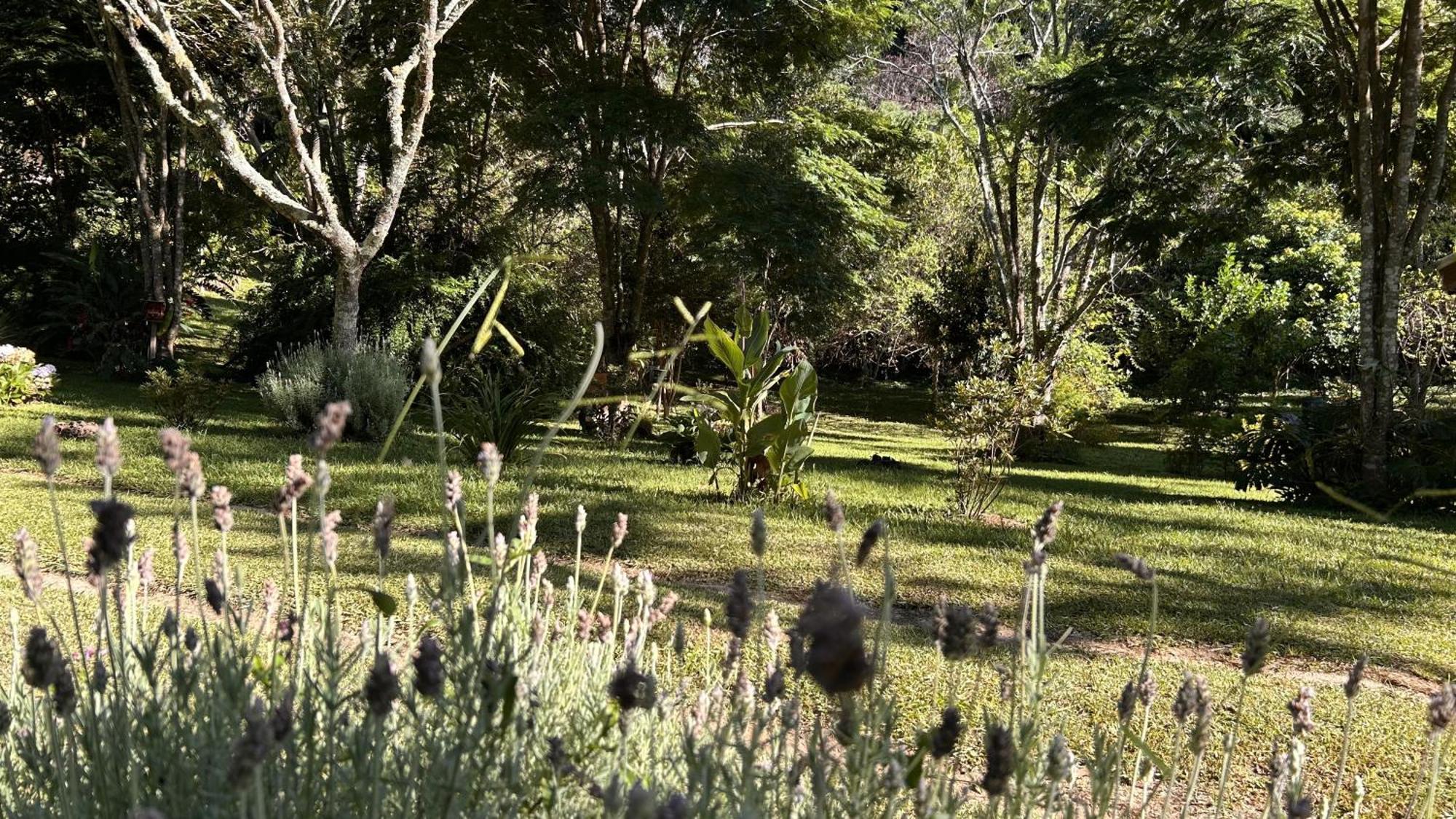 Chalet Chale Hortensia Cunha