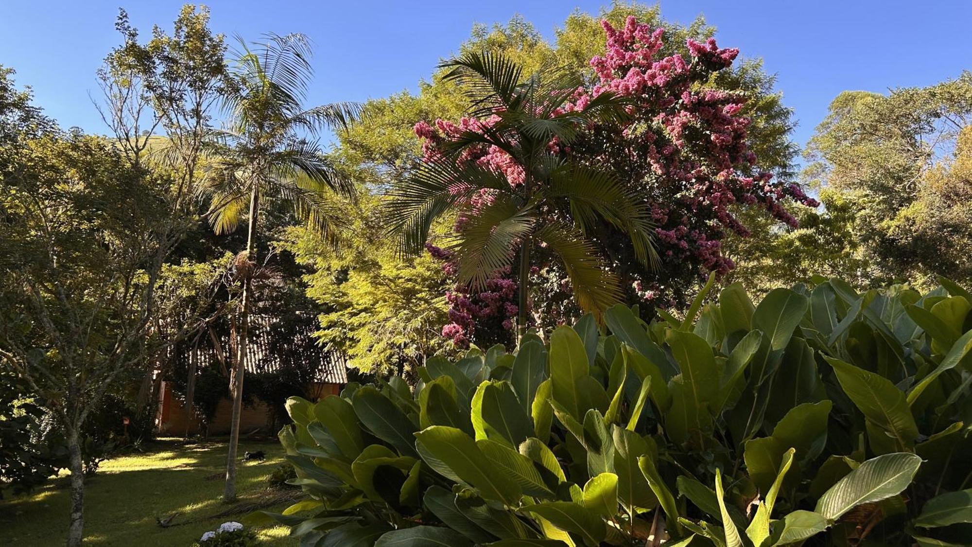 Chalet Chale Hortensia *