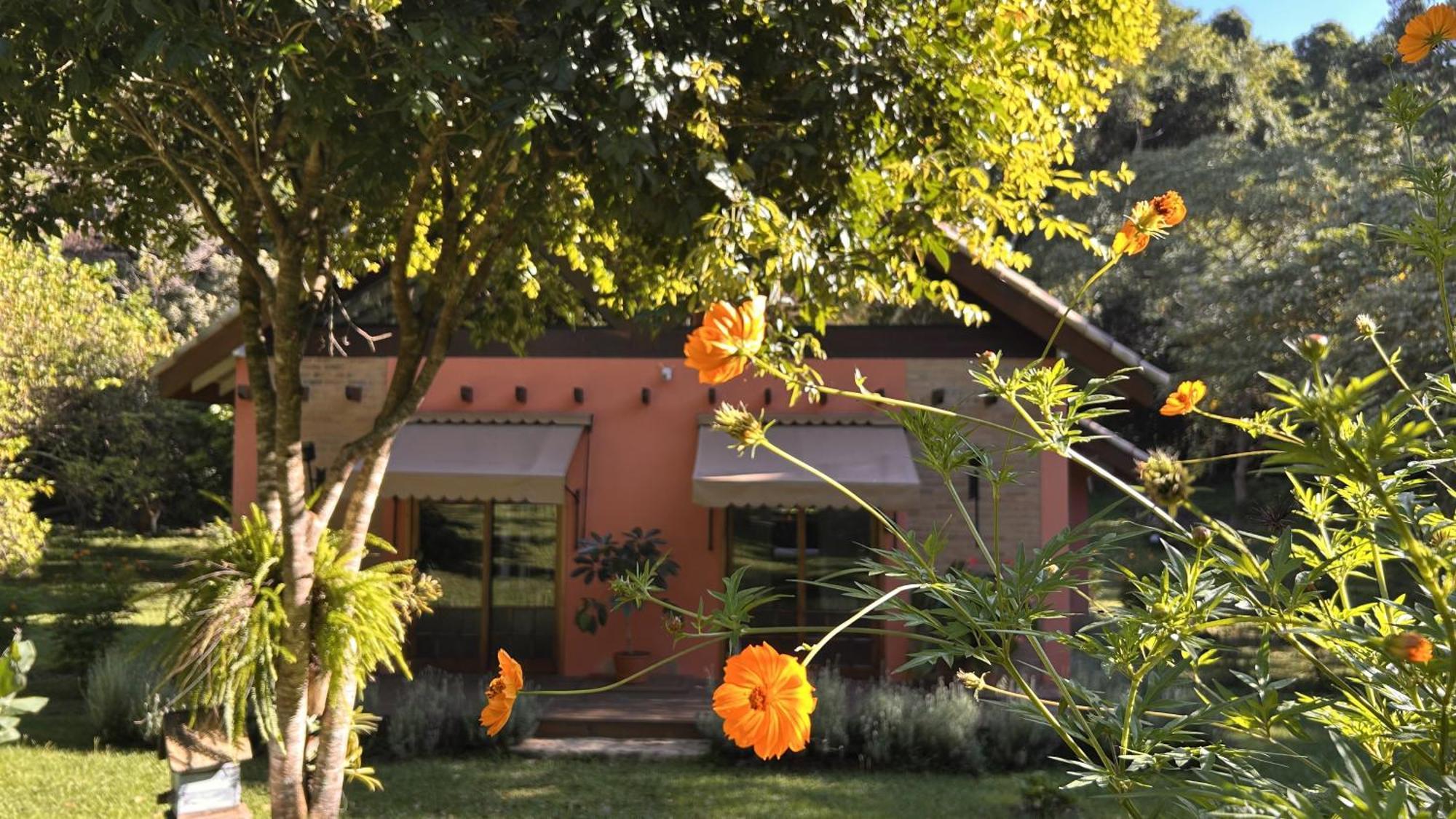 Chalet Chale Hortensia Cunha