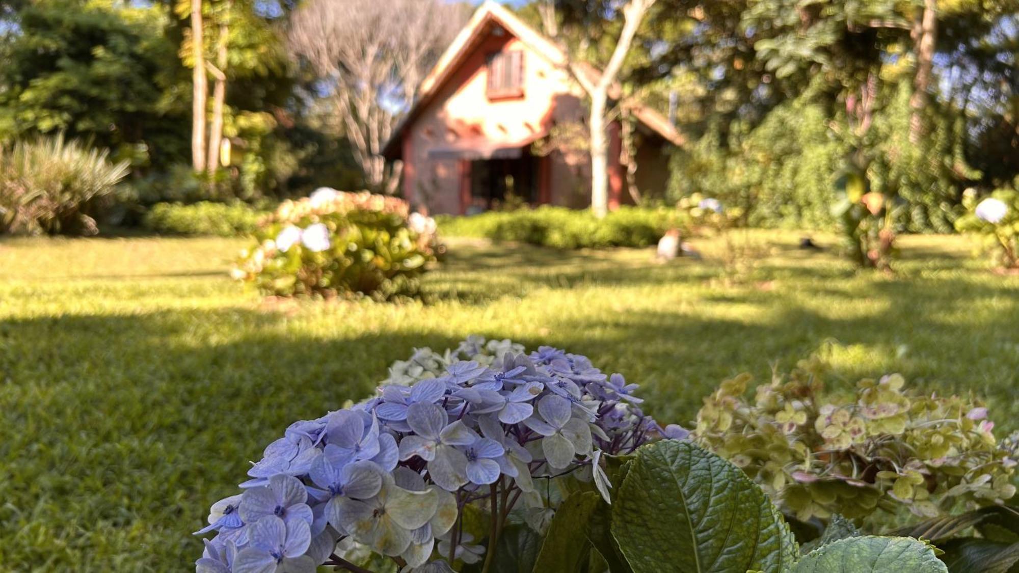 Chale Hortensia Chalet Cunha